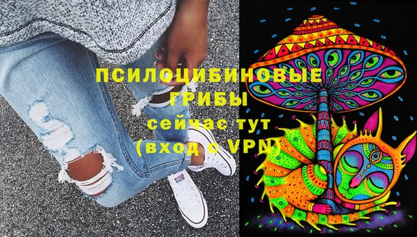 экстази Горняк