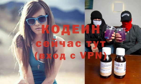дмт Вяземский
