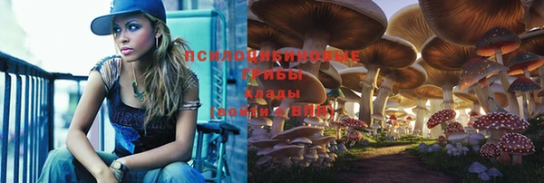дмт Вяземский