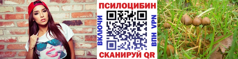 Галлюциногенные грибы мицелий  Ершов 
